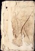 D013