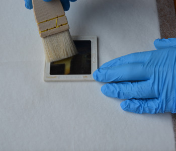 Spolveratura di una diapositiva