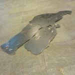 Orna Ben Ami Entire life in a package 2018