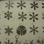 Encyclopèdie, ou Dictionnaire raisonné des Sciences, des Arts, et des Métiers; Par une société de Gens de Lettres, mis enordre, et publié par MM. Diderot, et D'Alambert, 1770 (ASTo, Biblioteca Antica, T.III.1 - 15-T.II.1 - 13) Encyclopèdie, ou Dictionnaire raisonné des Sciences, des Arts, et des Métiers; Par une société de Gens de Lettres, mis enordre, et publié par MM. Diderot, et D'Alambert, 1770 (ASTo, Biblioteca Antica, T.III.1 - 15-T.II.1 - 13)