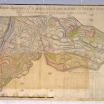 Catasto Sabaudo, Allegato C, Bibiana